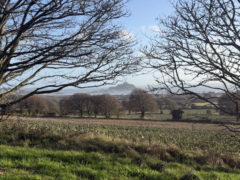 St Aubyn Estates Reaccredited with Green Dragon Level 5